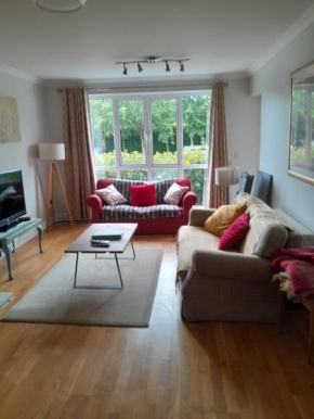Spacious & Bright 2 Bedroom Apt Great location